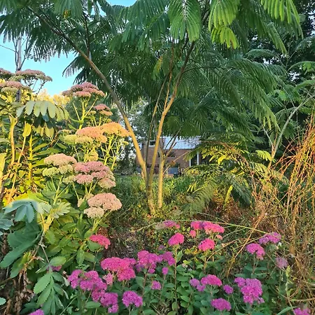 Tiny House Les Nuits Du Verger Apartment