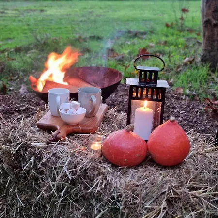 Apartment Tiny House Les Nuits Du Verger