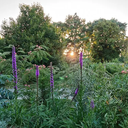 Tiny House Les Nuits Du Verger Apartment *