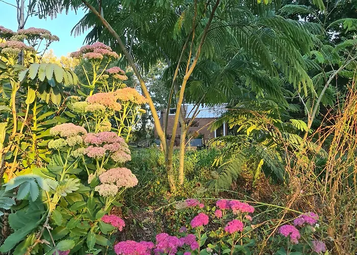 Tiny House Les Nuits Du Verger شقة